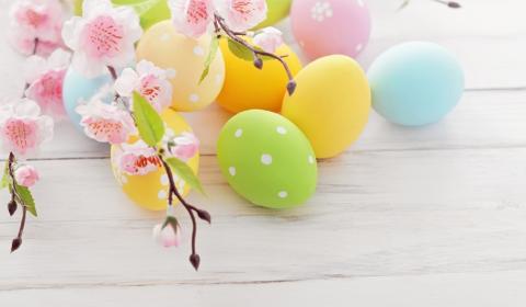 Jarní výstava 2024