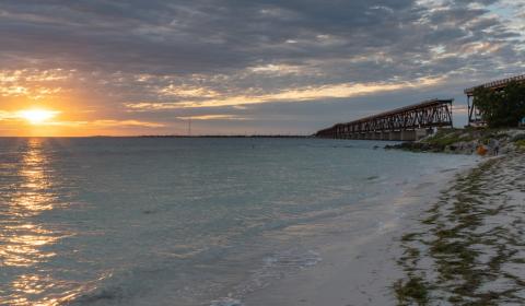 Střípky z floridské přírody