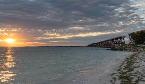 Střípky z floridské přírody