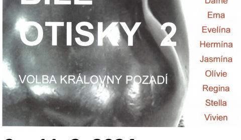 Bílé otisky 2