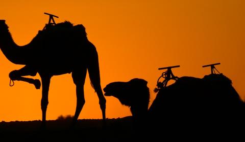  Maroko - královskými městy na Saharu