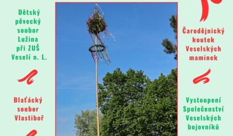 Stavění veselského Máje 2026