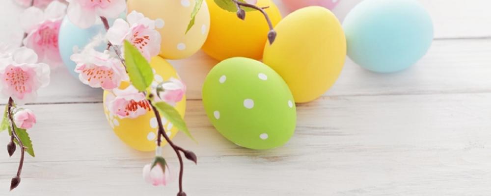 Jarní výstava 2024