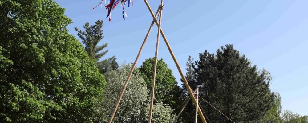 Stavění veselského Máje 2024