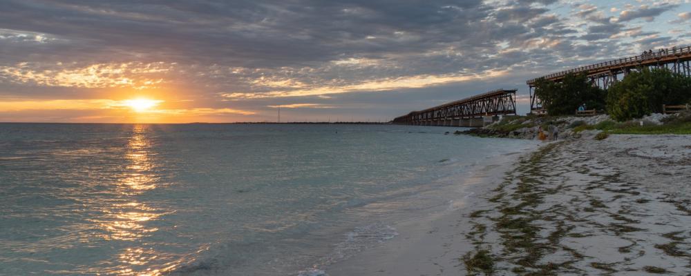Střípky z floridské přírody