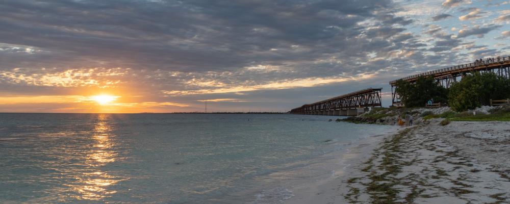 Střípky z floridské přírody