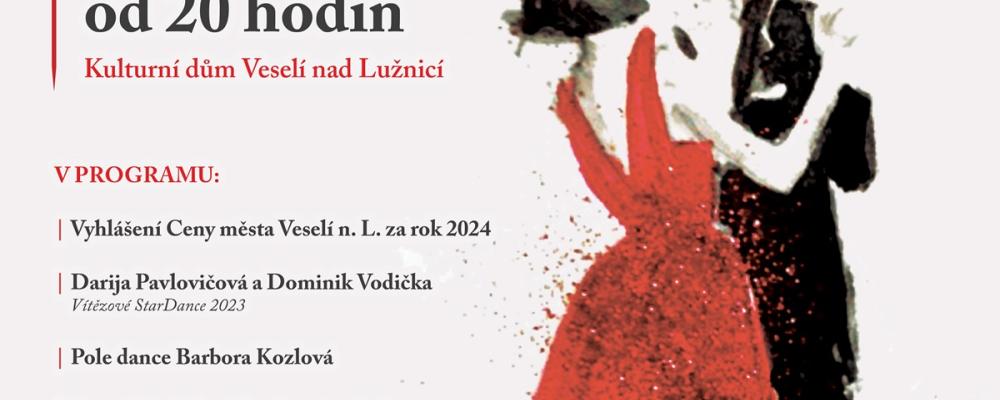 25. Ples Města Veselí nad Lužnicí 2025