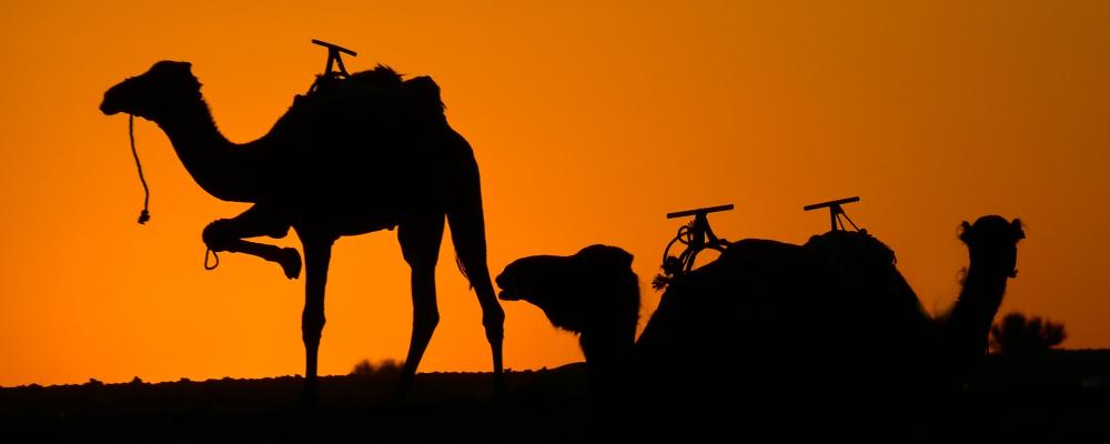  Maroko - královskými městy na Saharu
