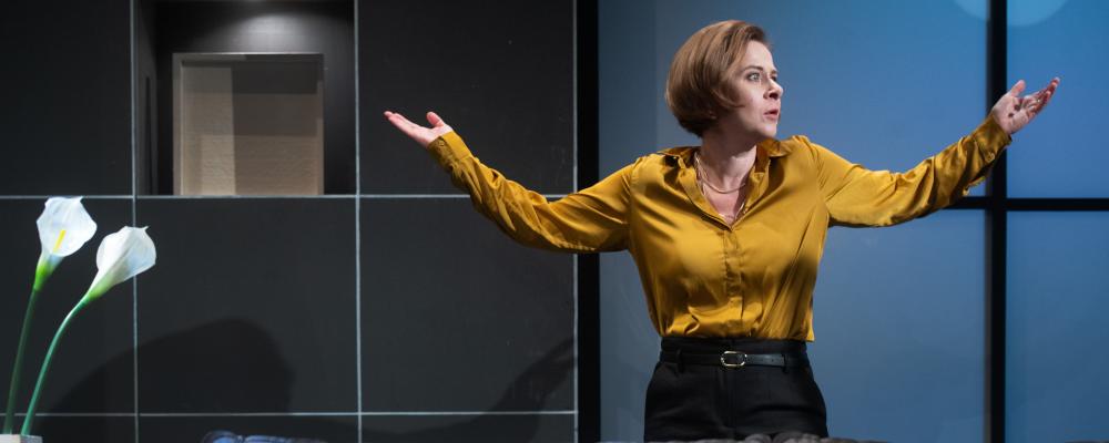  Koza aneb Kdo je Sylvie?