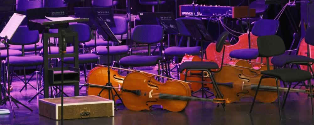 Táborský symfonický orchestr Bolech a hosté