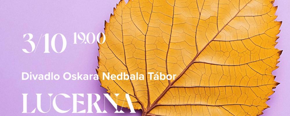 Lucerna