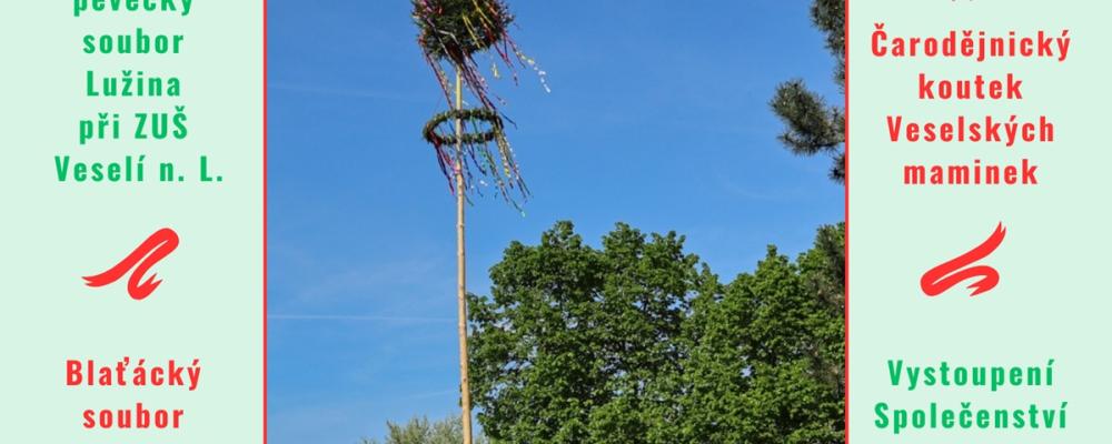 Stavění veselského Máje 2026